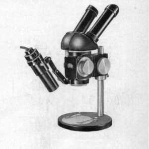 Stereomikroskop II