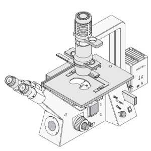 Axiovert 25 CFL