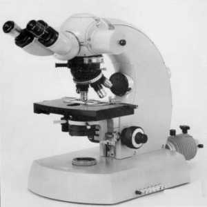 Forschungsmikroskop Universal