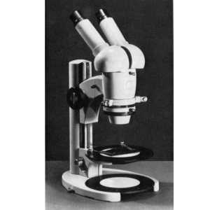 Stereomikroskop I