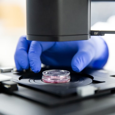 Carl Zeiss Microscopy, LLC - Accessories