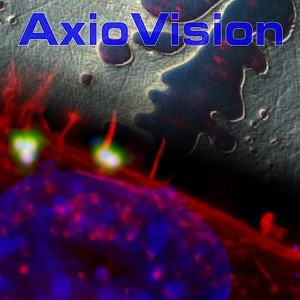 AxioVision Basissoftware