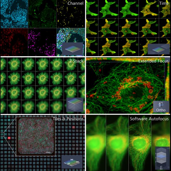 Product image of ZEN Toolkit Motorized Acquisition