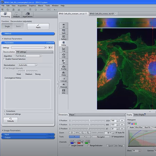 ZEN Module Deconvolution