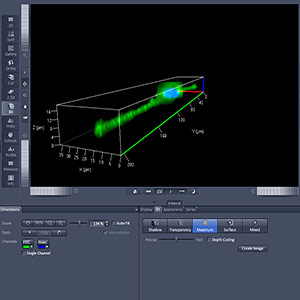 ZEN Modul 3D VisArt Hardware License Key