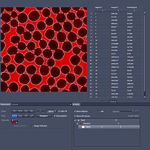 ZEN - Modules BioMed/Mat