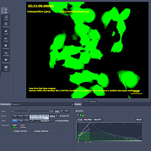 zen lite software zeiss zen lite software zeiss