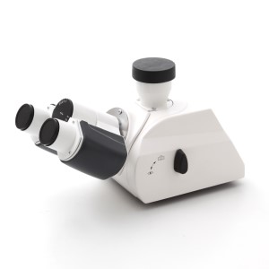 Fototubo binocular ergonómico 5-30°/23 (100:0/0:100), imagen enderezada