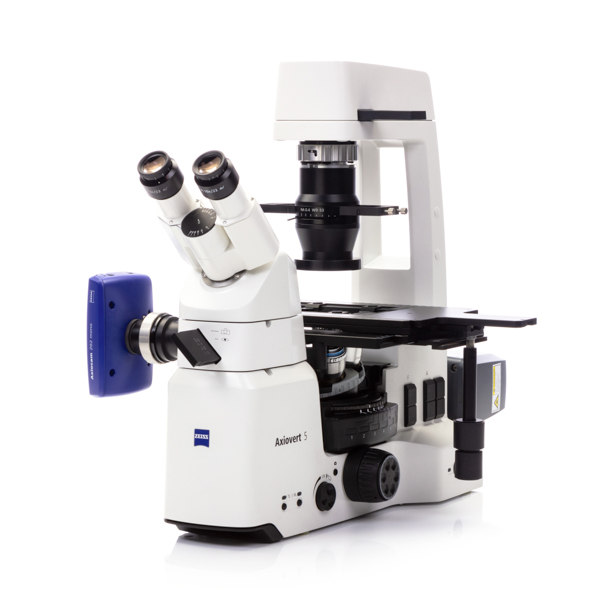 Microscope stand Axiovert 5 TL FL SCB
