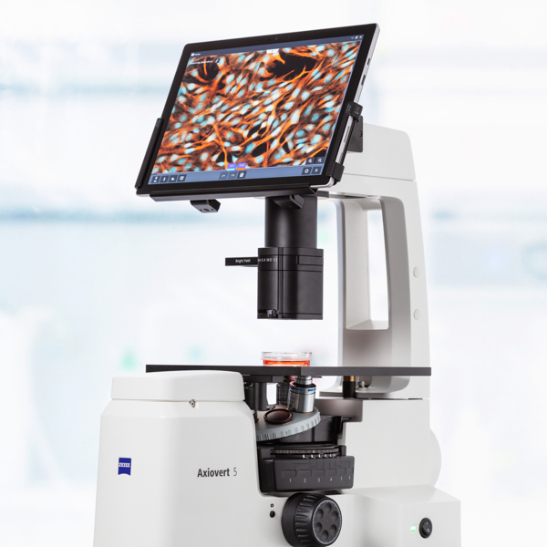 Microscope Axiovert 5 digital; integrated color camera