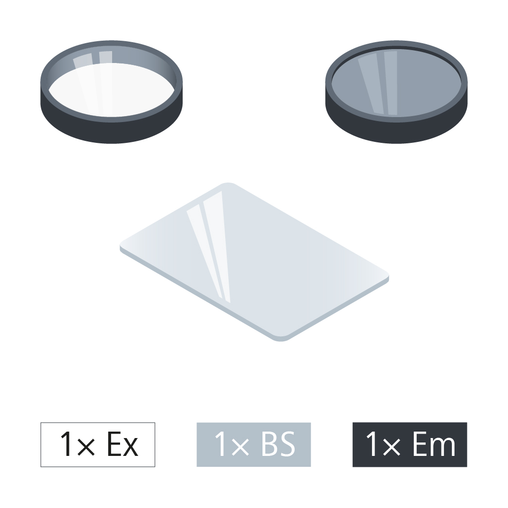 Filter set 49 DAPI shift free (E)