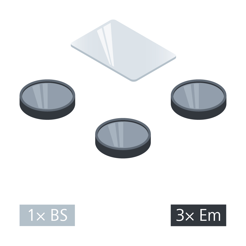 Filter Set 91 LED SBP CFP+YFP+AF594