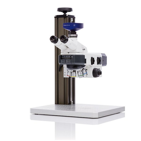 Microscope Axioscope Vario RL BF/DF/C-DIC