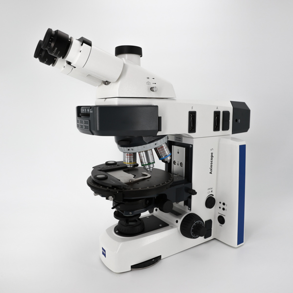 Microscope Axio Scope 5 Pol RL, TL, Bertrand