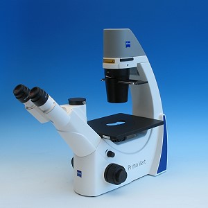 Microscope Primovert