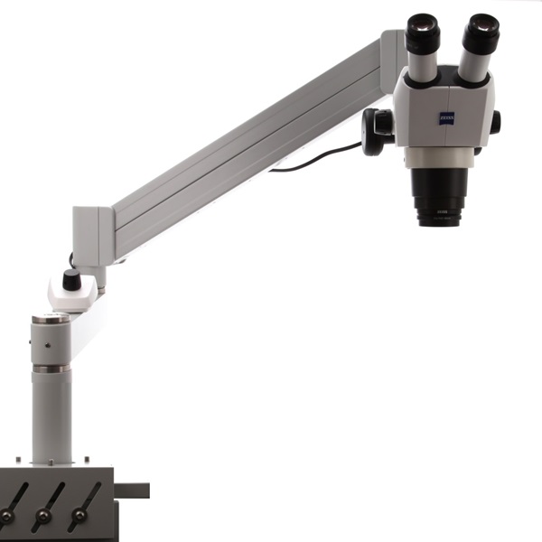 Stereomicroscope Stemi 305 trino for large specimen