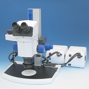 Stereomikroskop SteREO Discovery.V8