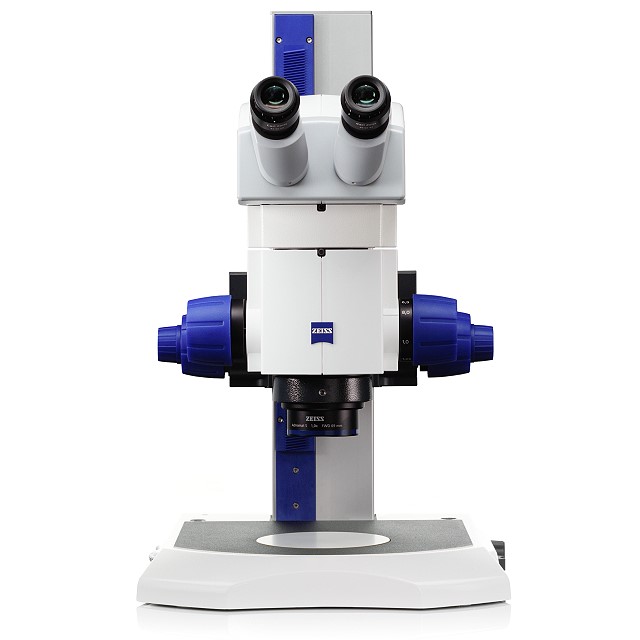 Digitalización del portaobjetos usando un microscopio manual y una cámara  digital