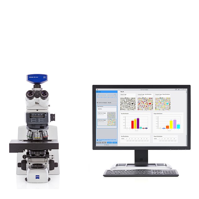 Axioscope 7 MAT