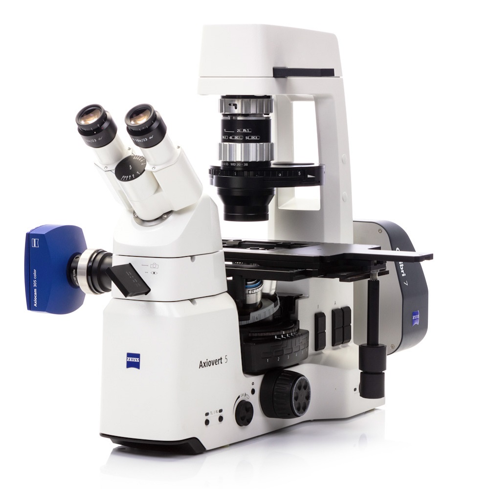 Inverted microscope Axiovert 5 TL SCB f/Ph1 iHMC w/Thermo