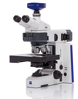 Axioscope 7 MAT